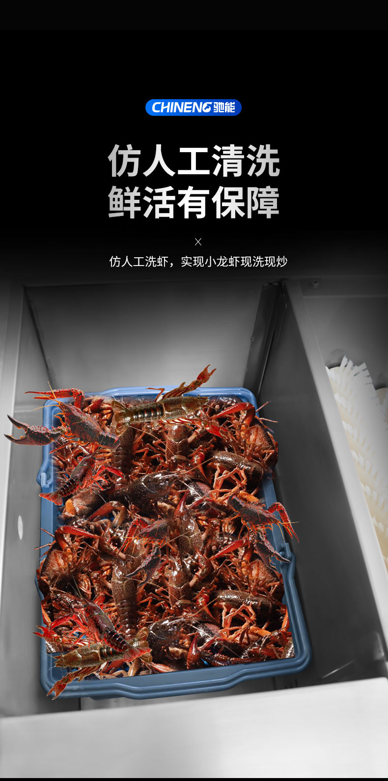 G22恒峰小龙虾清洗机仿人工清洗