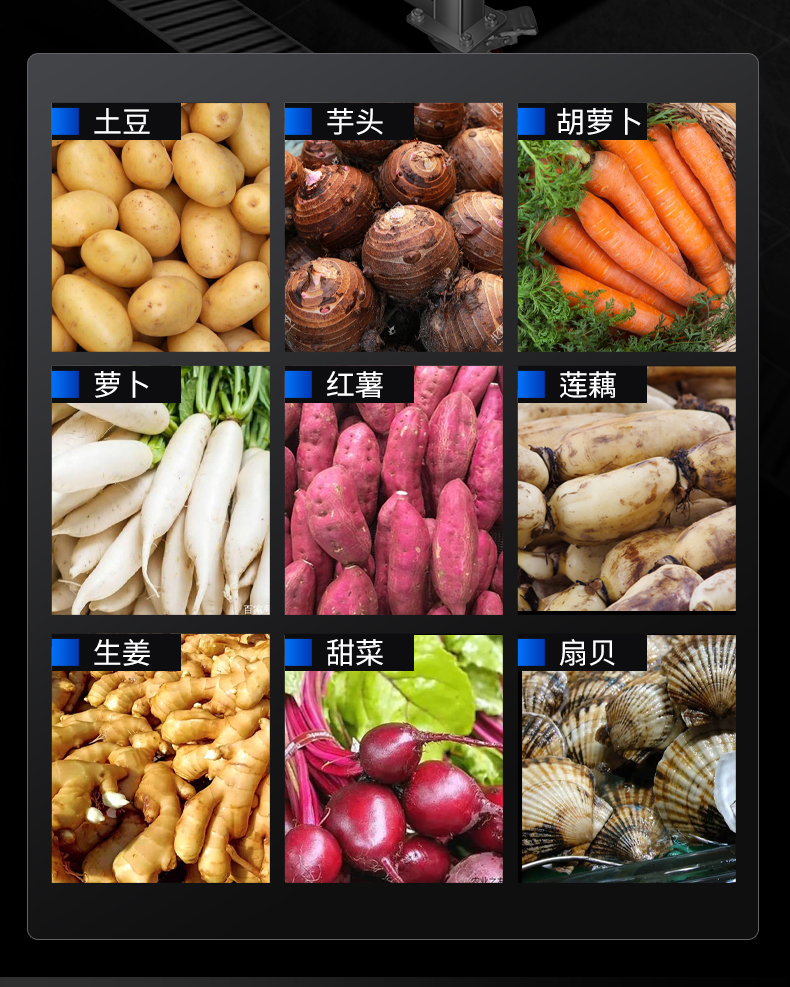 1694998409423143.jpg 毛刷去皮机适用蔬菜